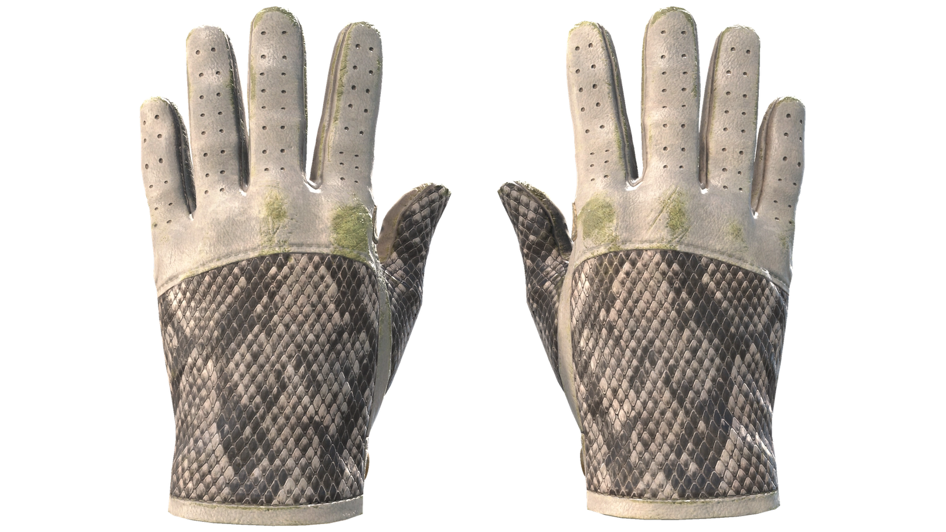King Snake image