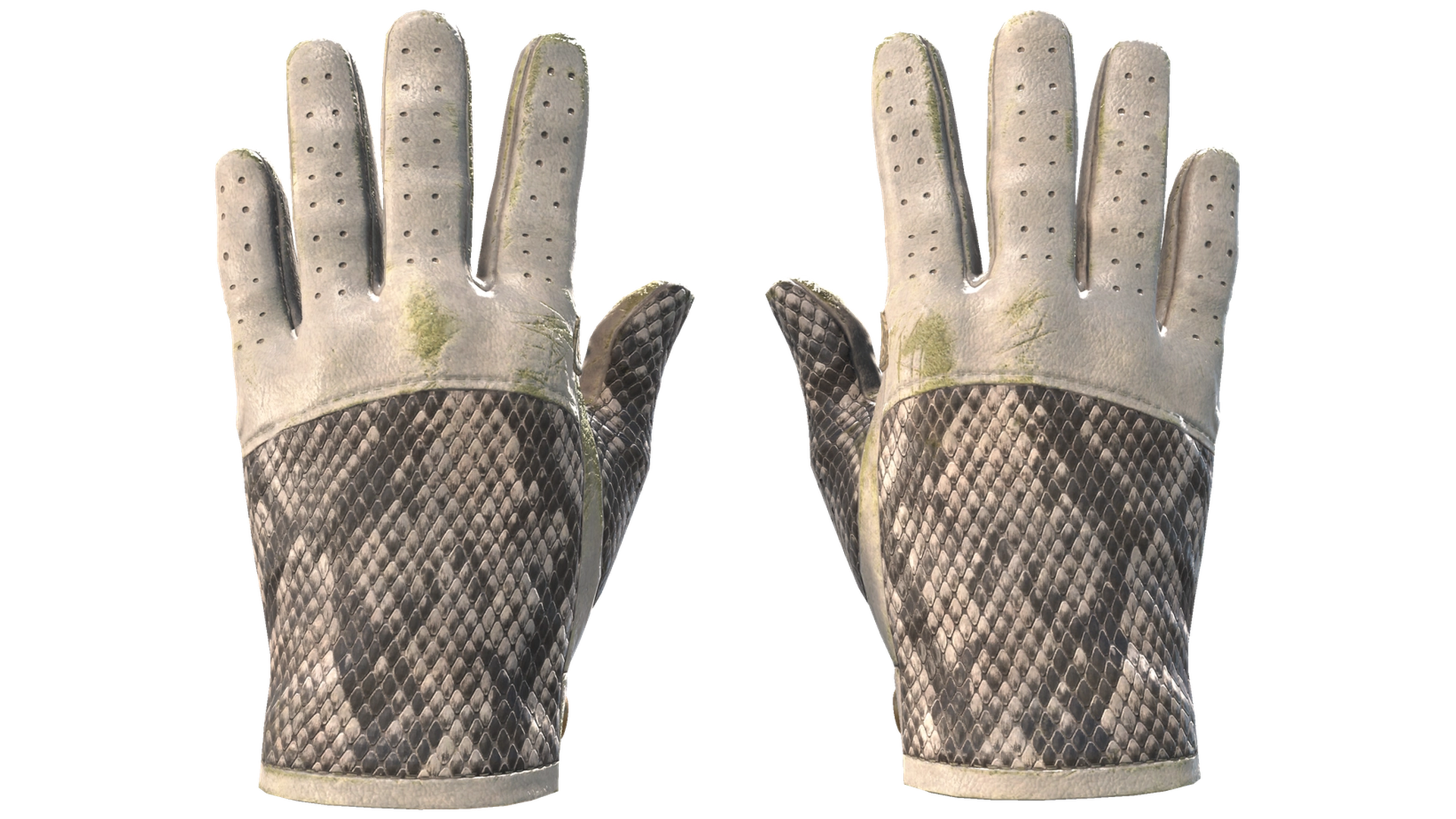 King Snake image