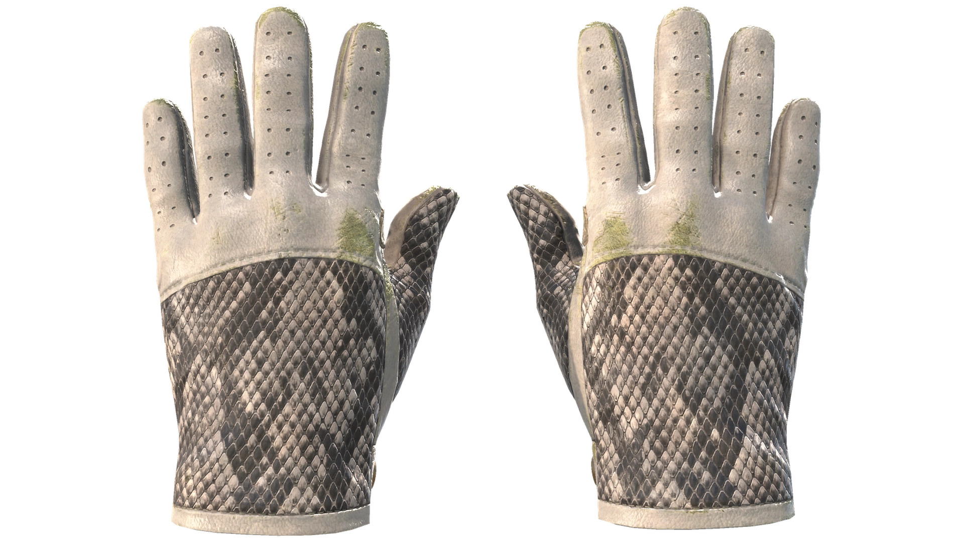 King Snake image