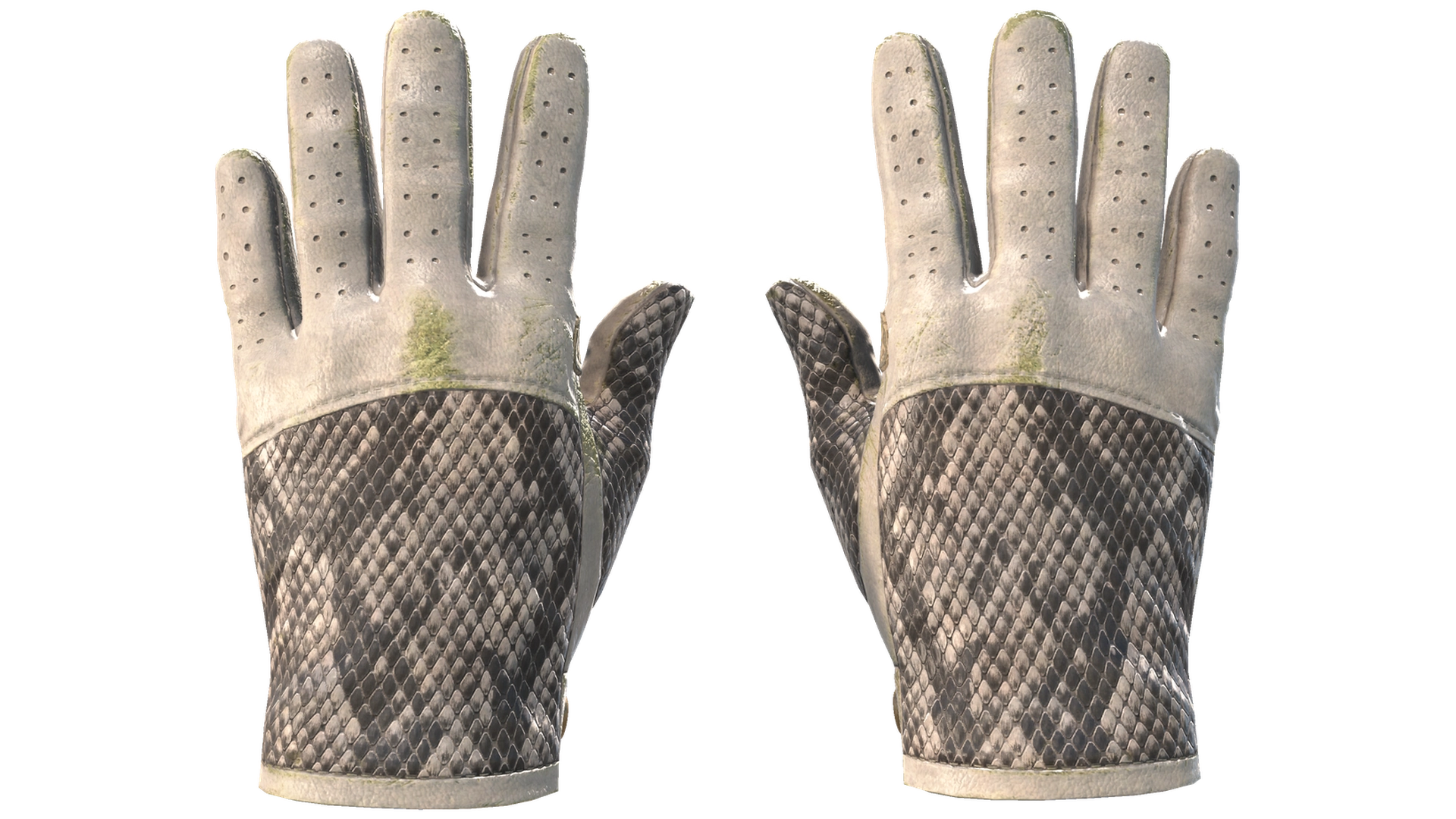King Snake image