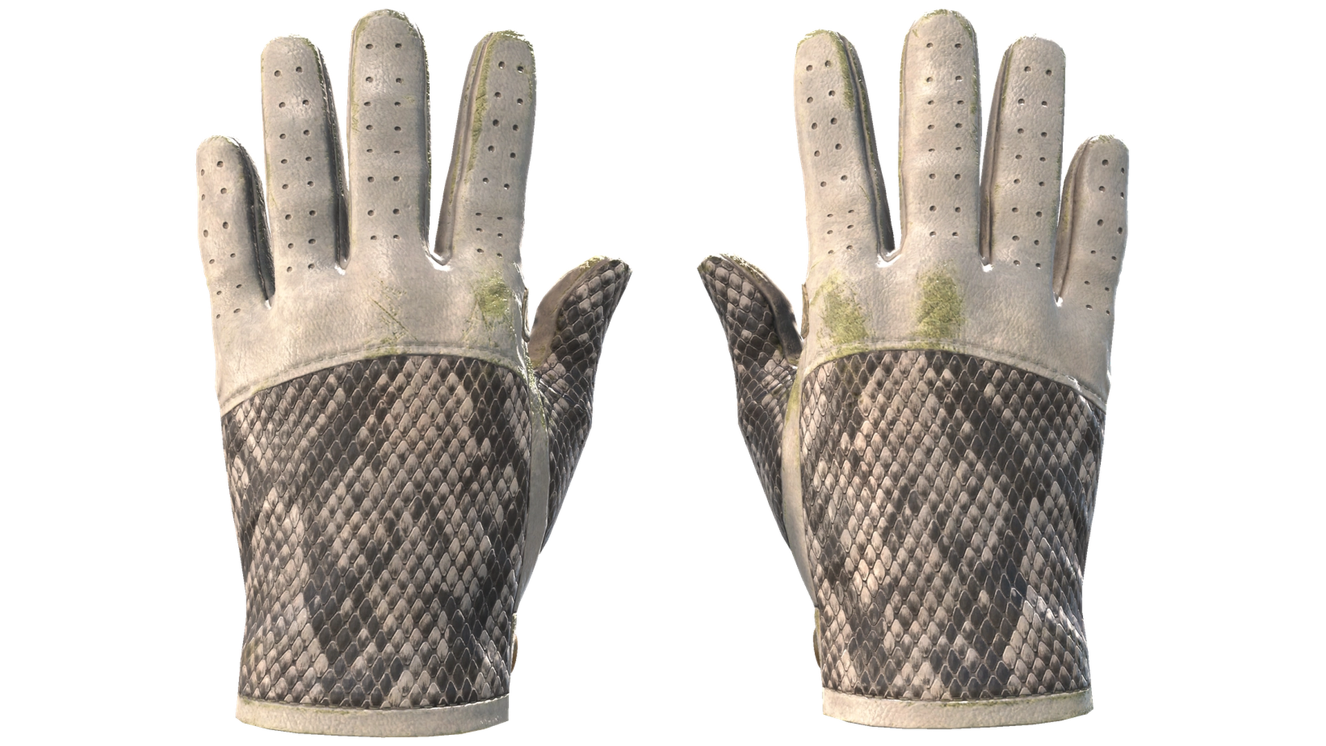 King Snake image