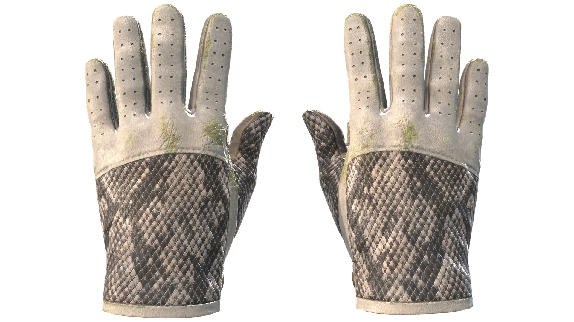 King Snake image