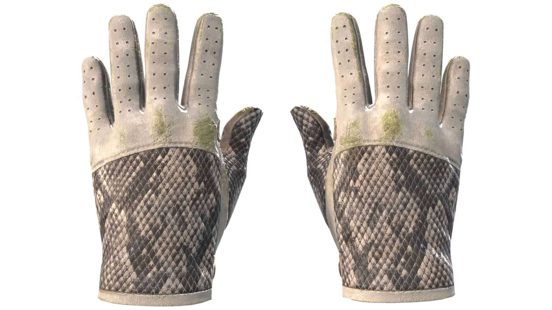 King Snake image