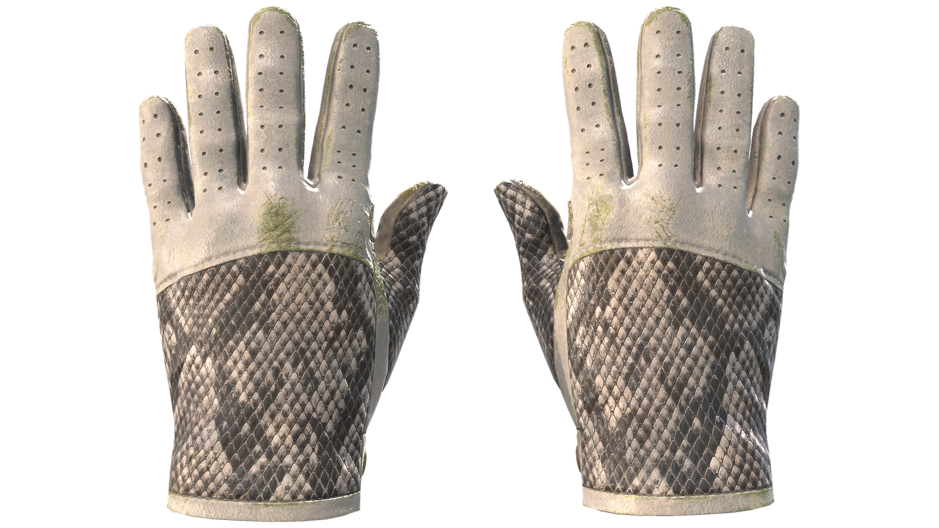 King Snake image