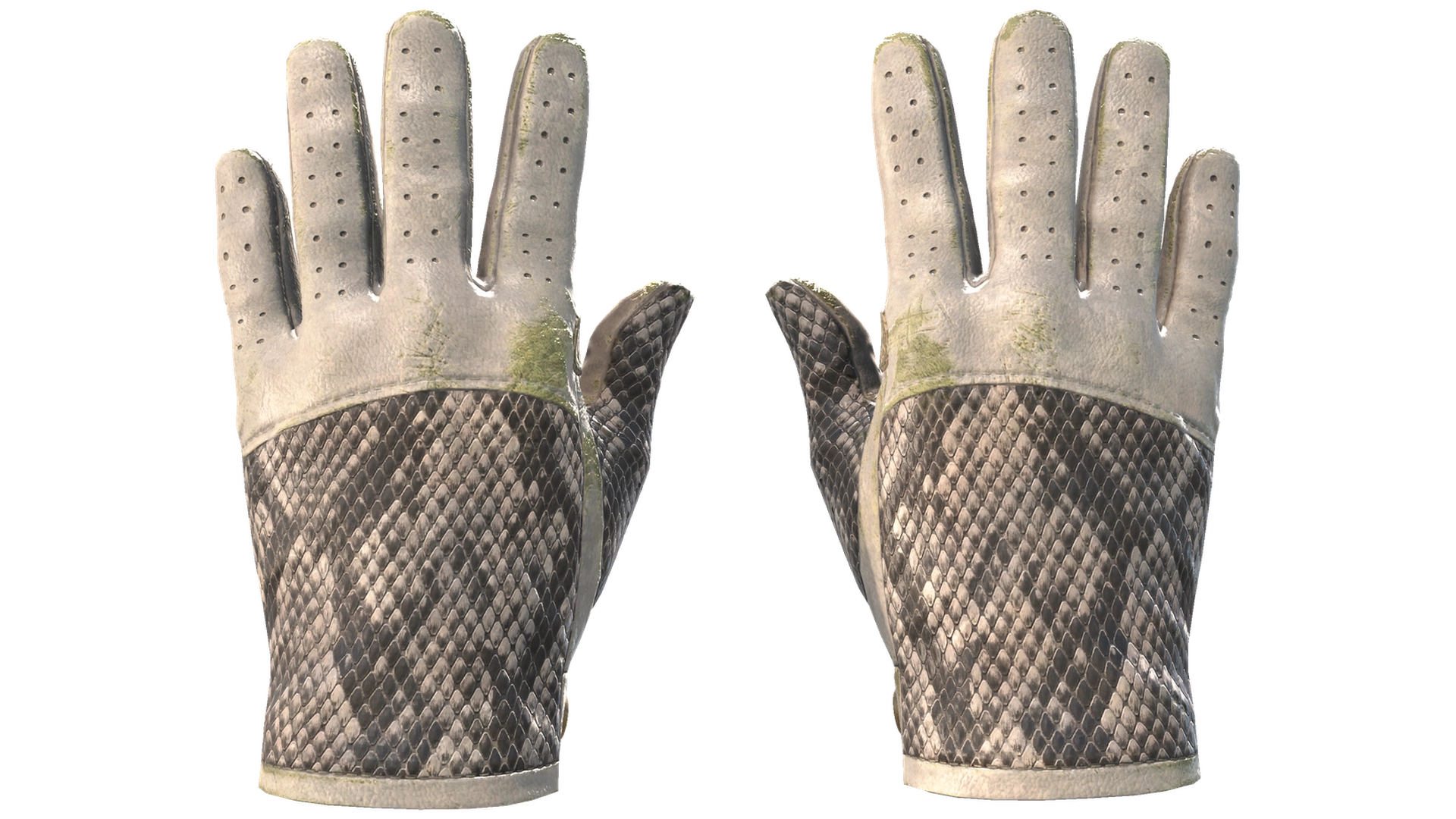 King Snake image