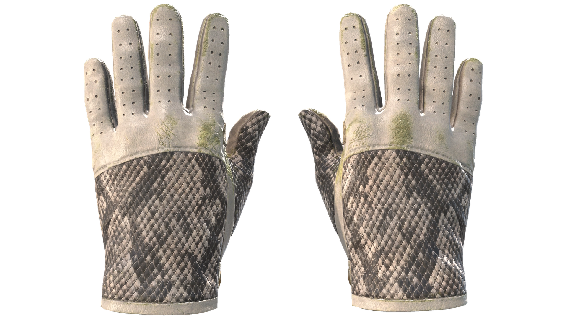 King Snake image