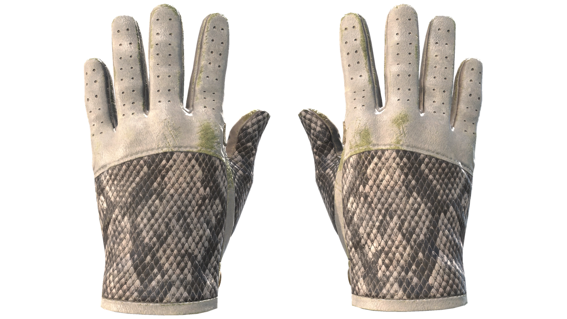 King Snake image