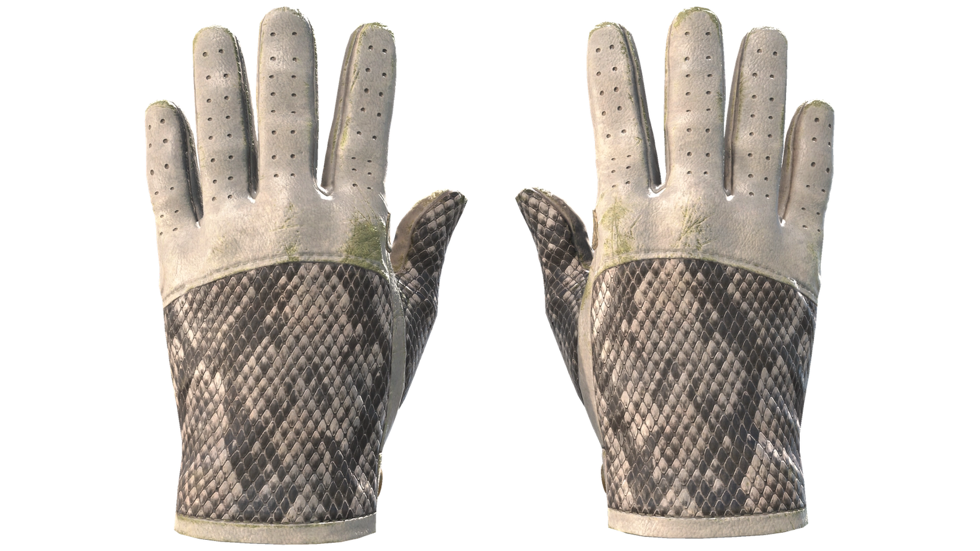 King Snake image