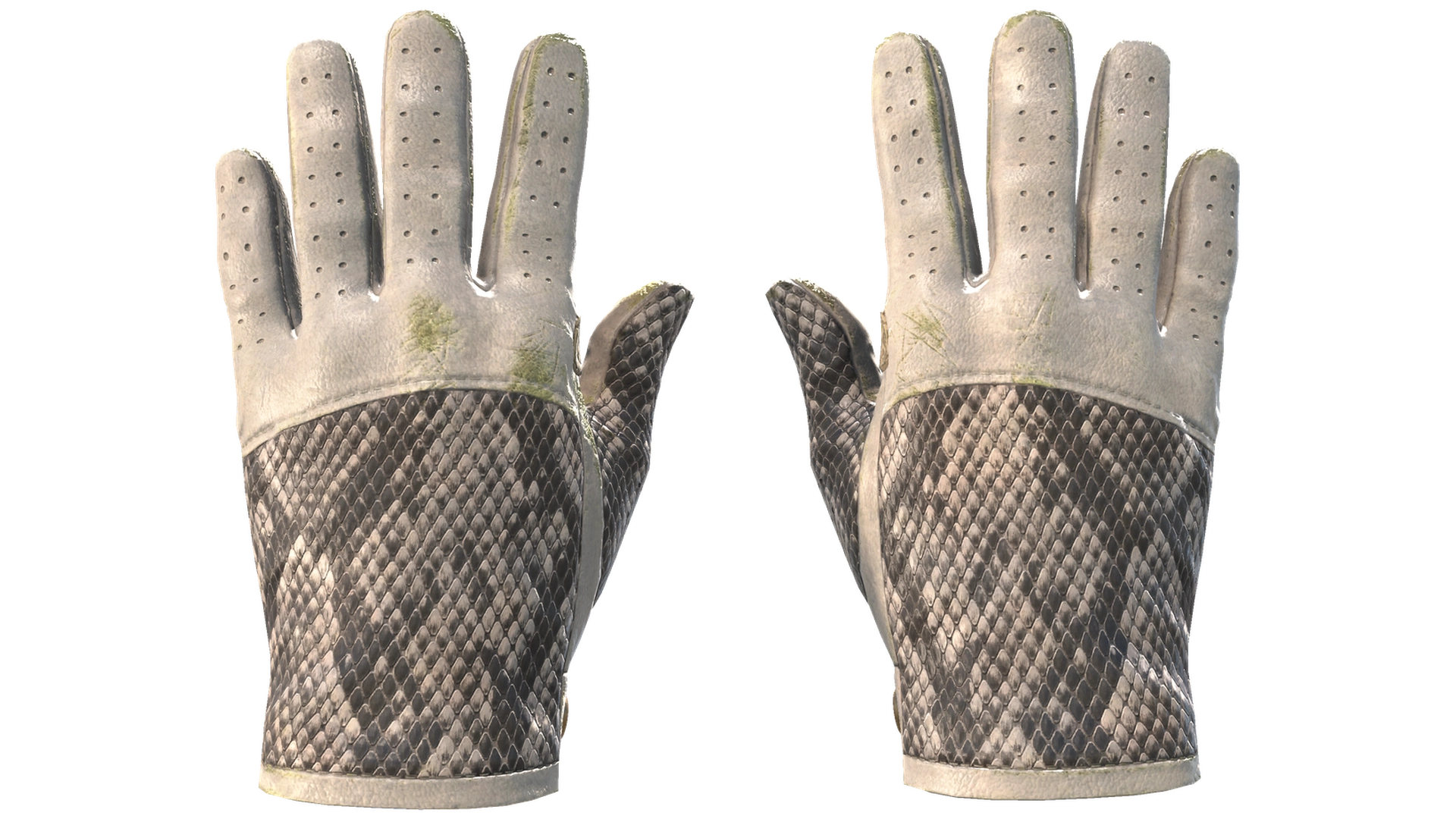 King Snake image