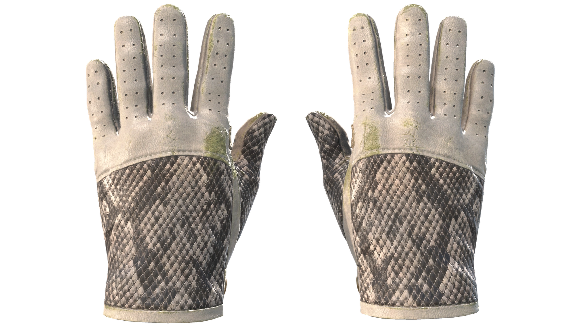 King Snake image
