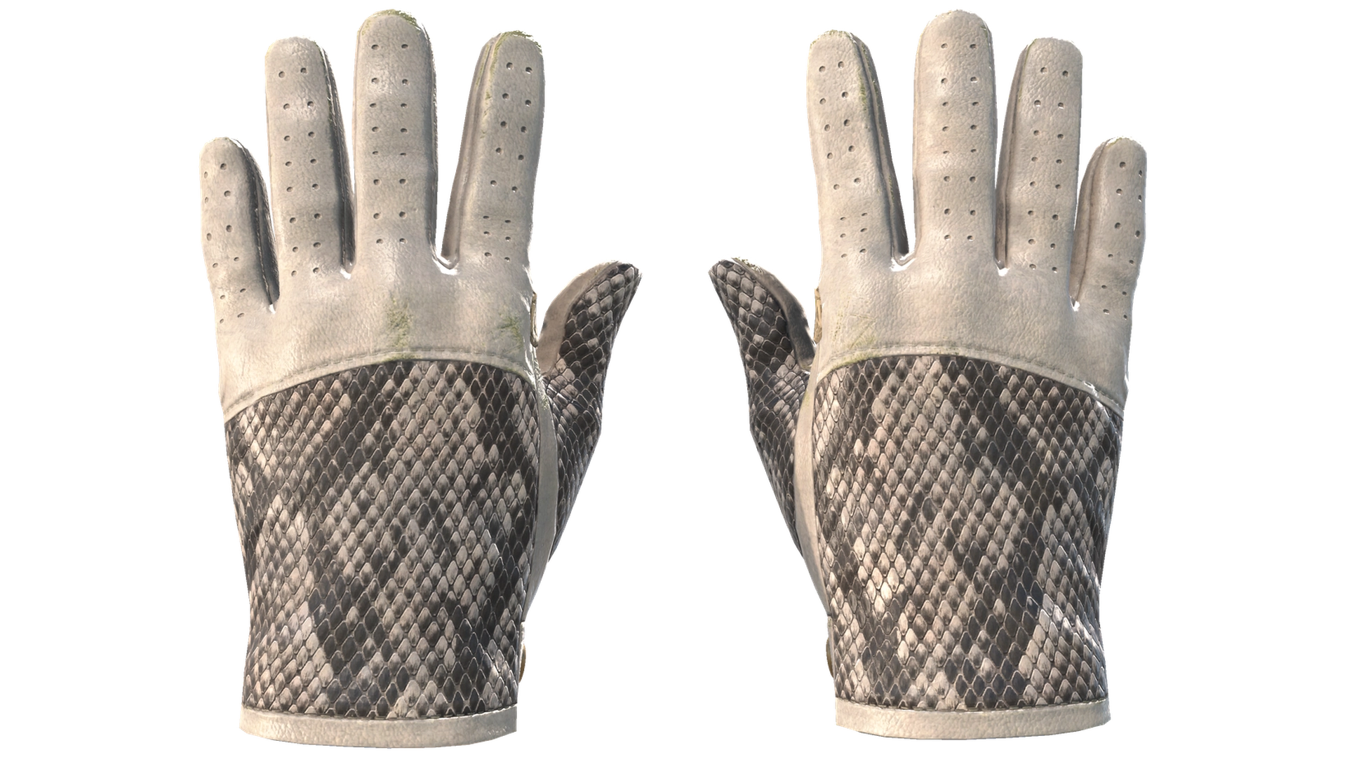 King Snake image