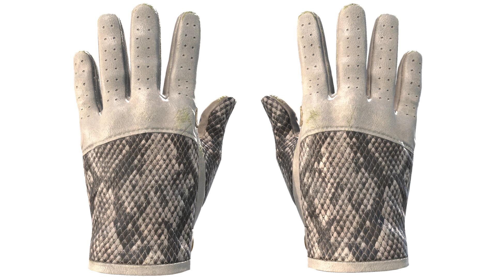 King Snake image