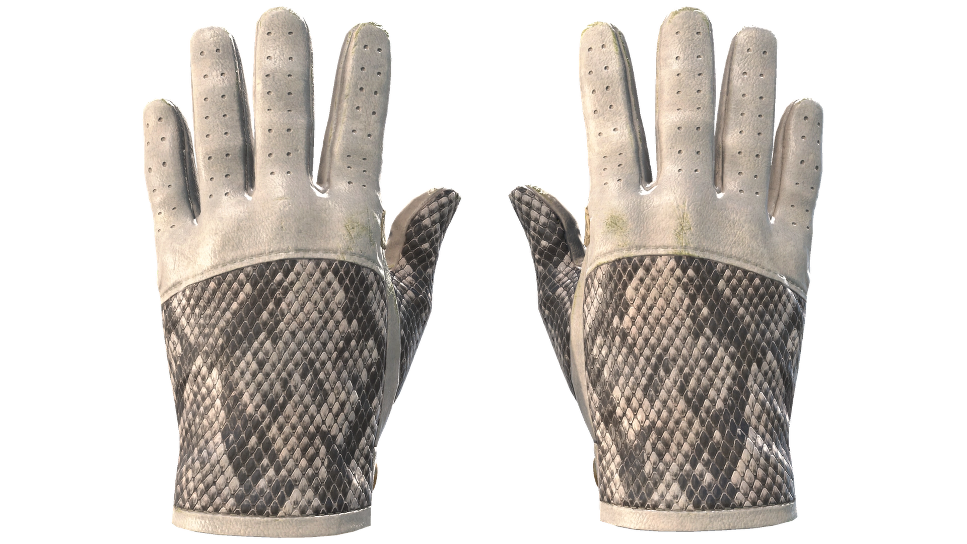 King Snake image