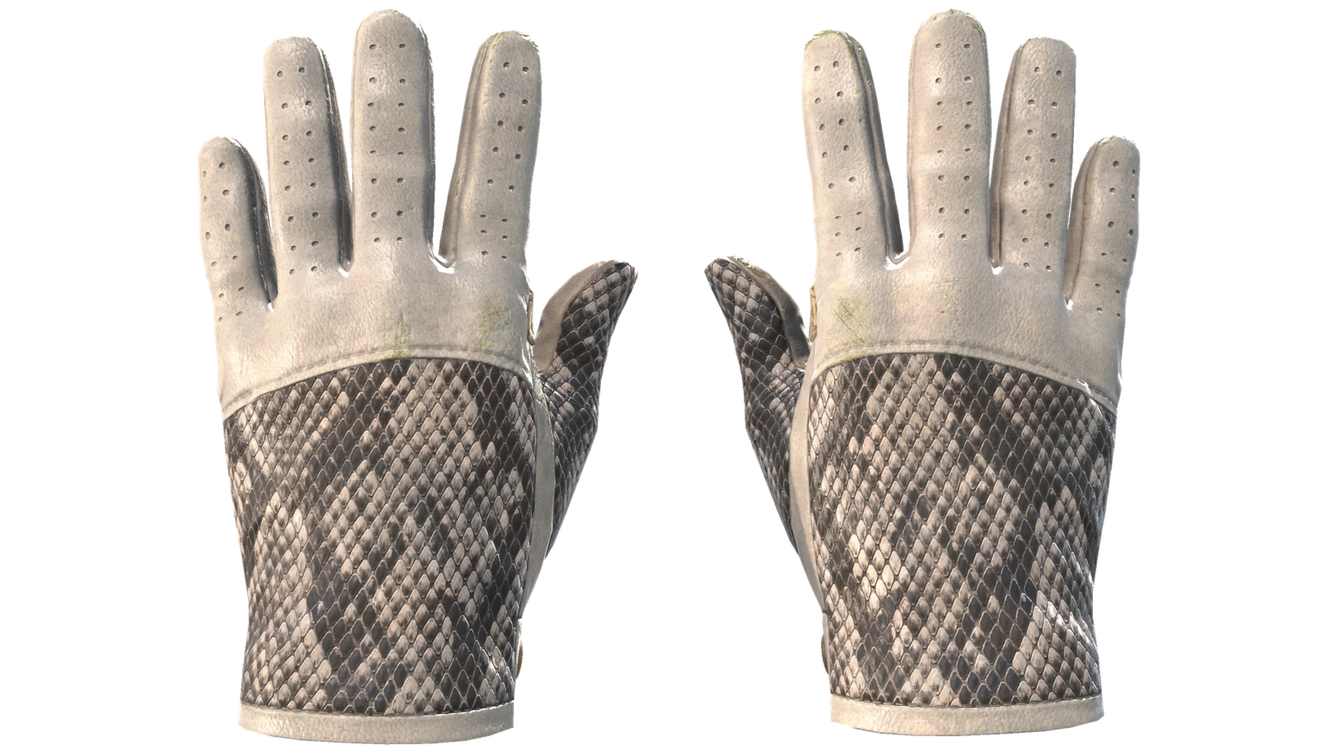 King Snake image