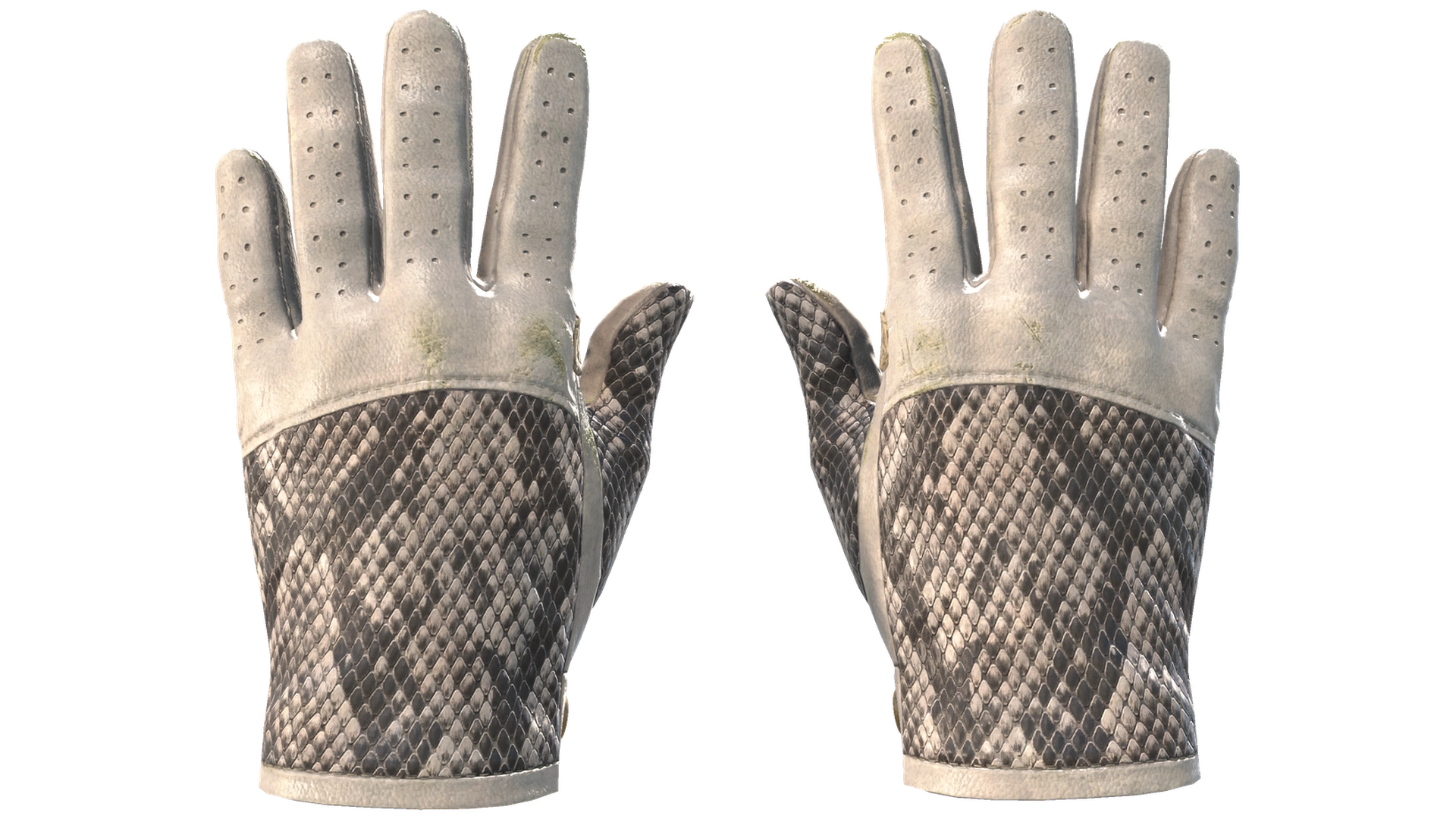 King Snake image