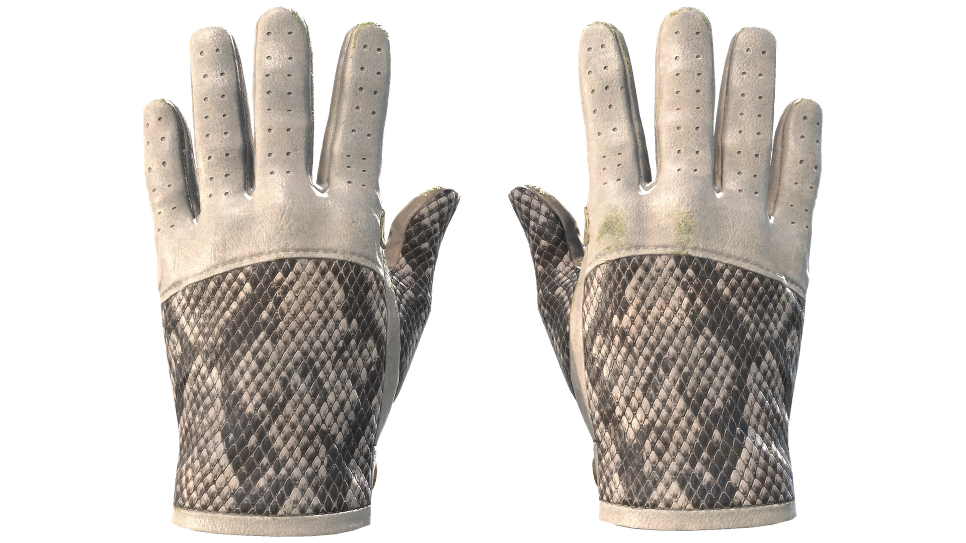 King Snake image
