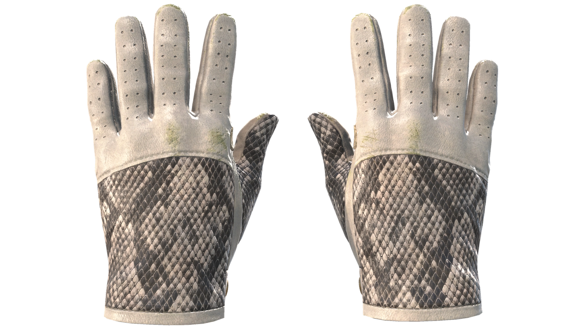 King Snake image