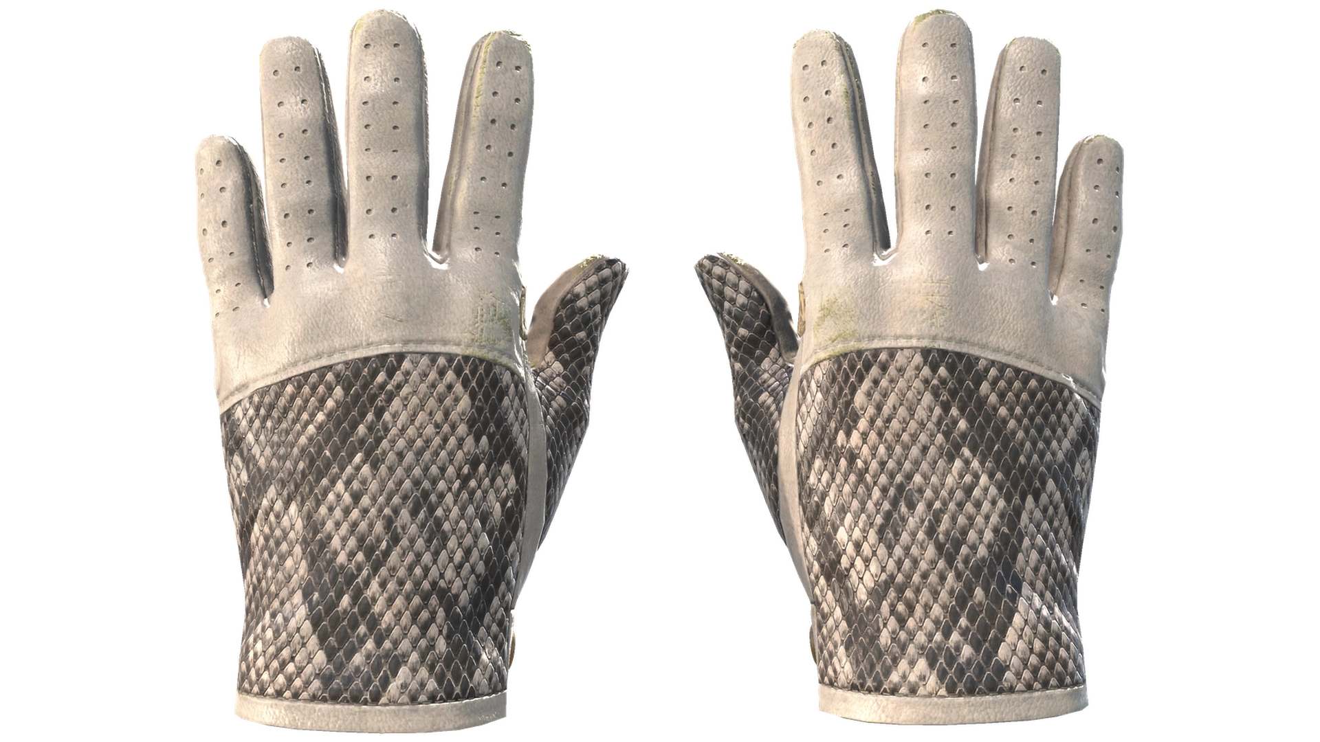 King Snake image