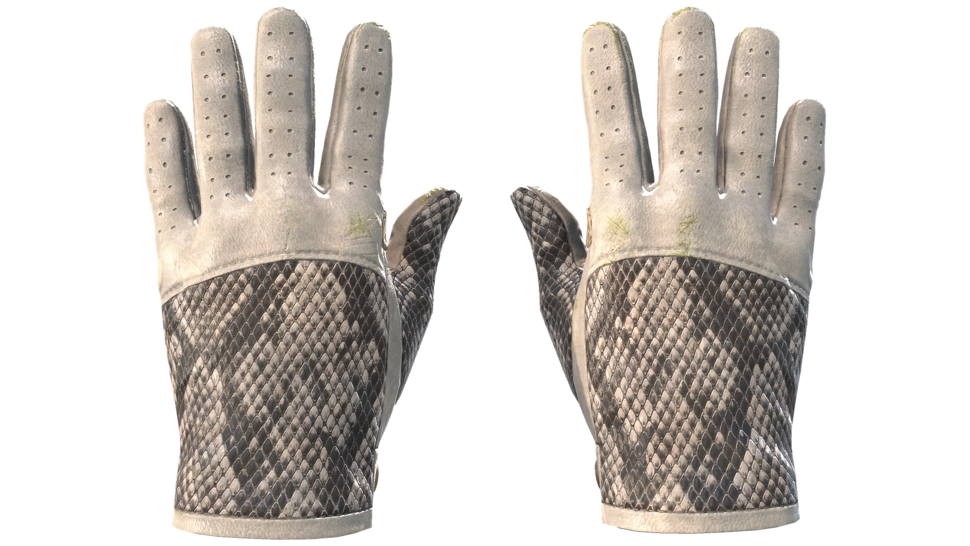 King Snake image