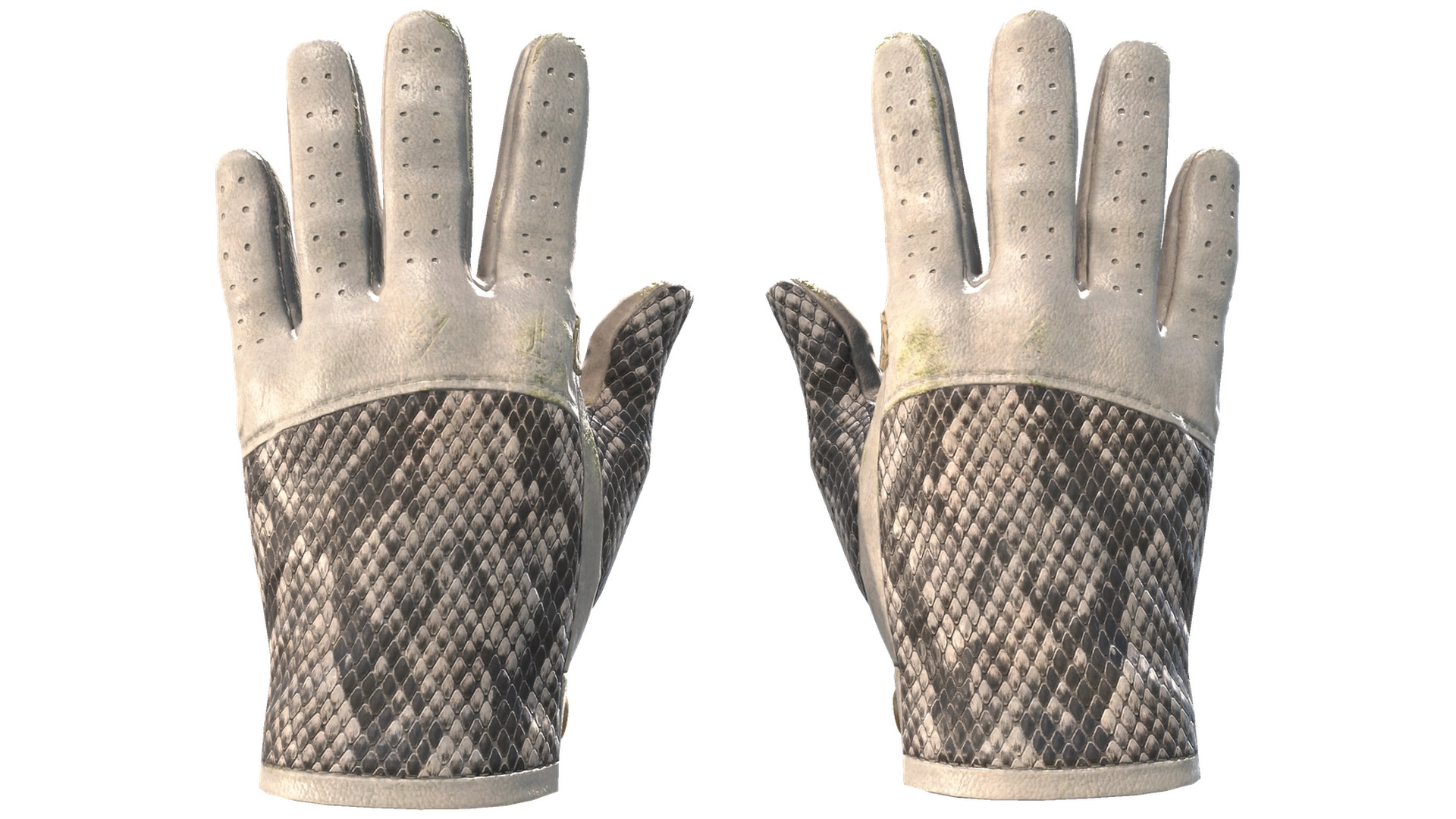 King Snake image