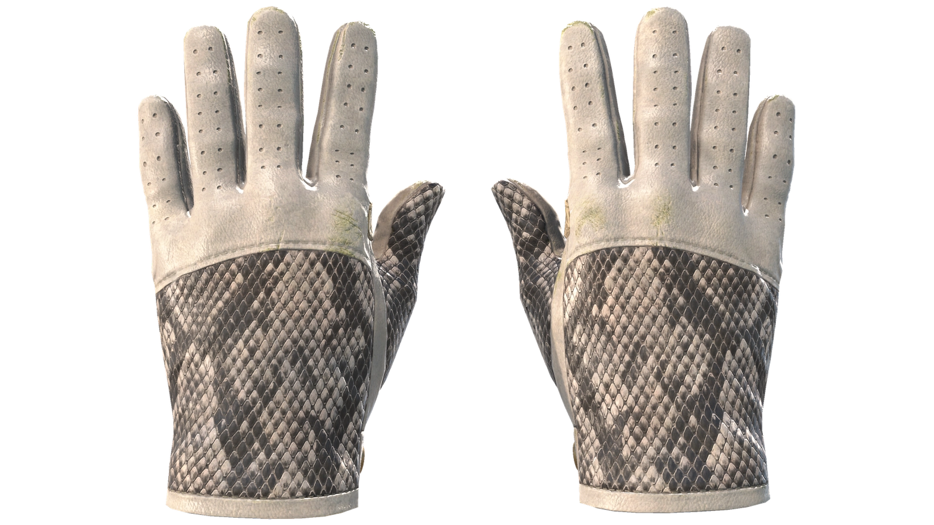 King Snake image