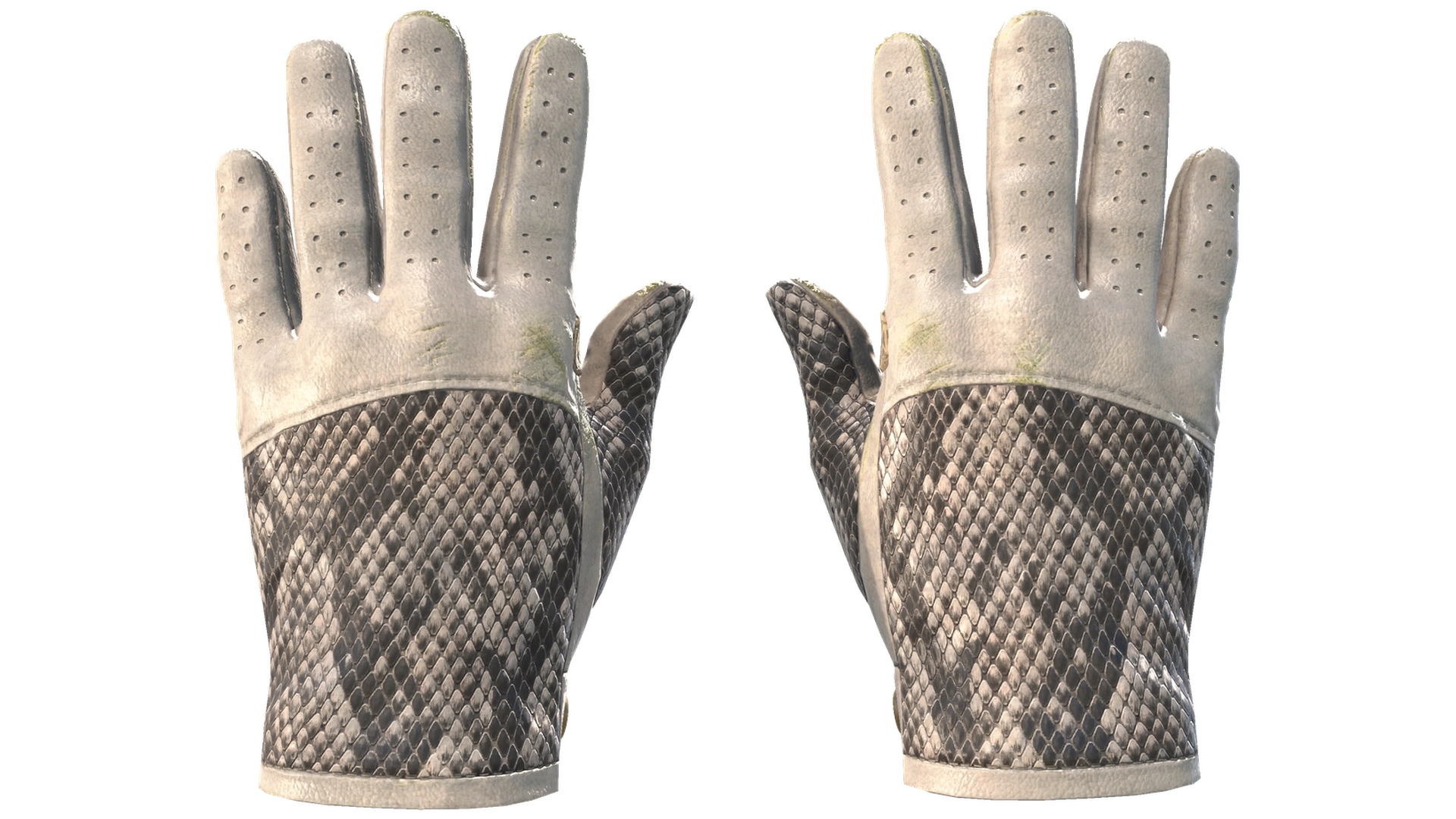 King Snake image