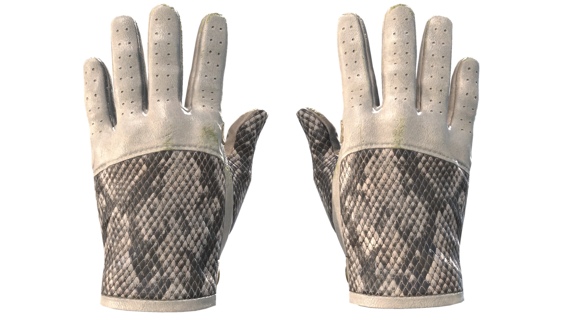 King Snake image