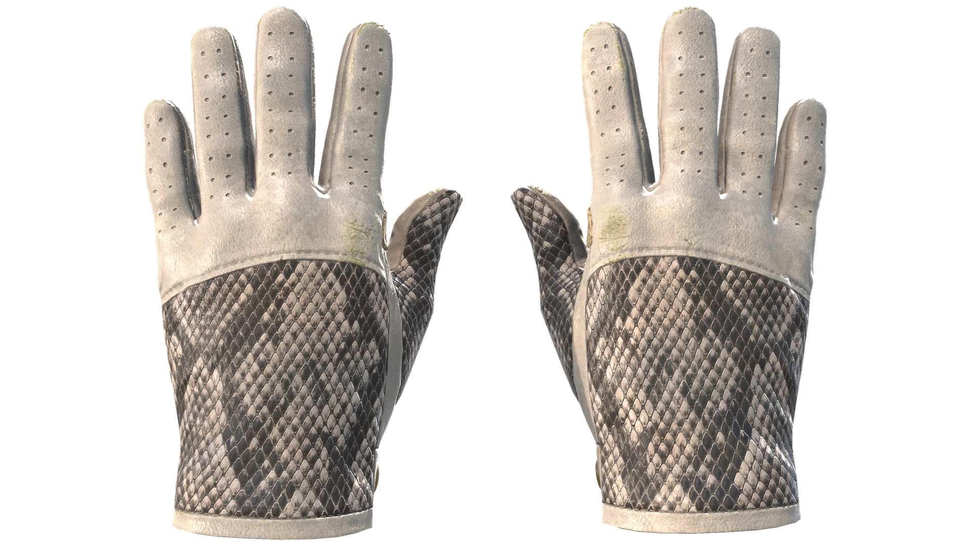 King Snake image