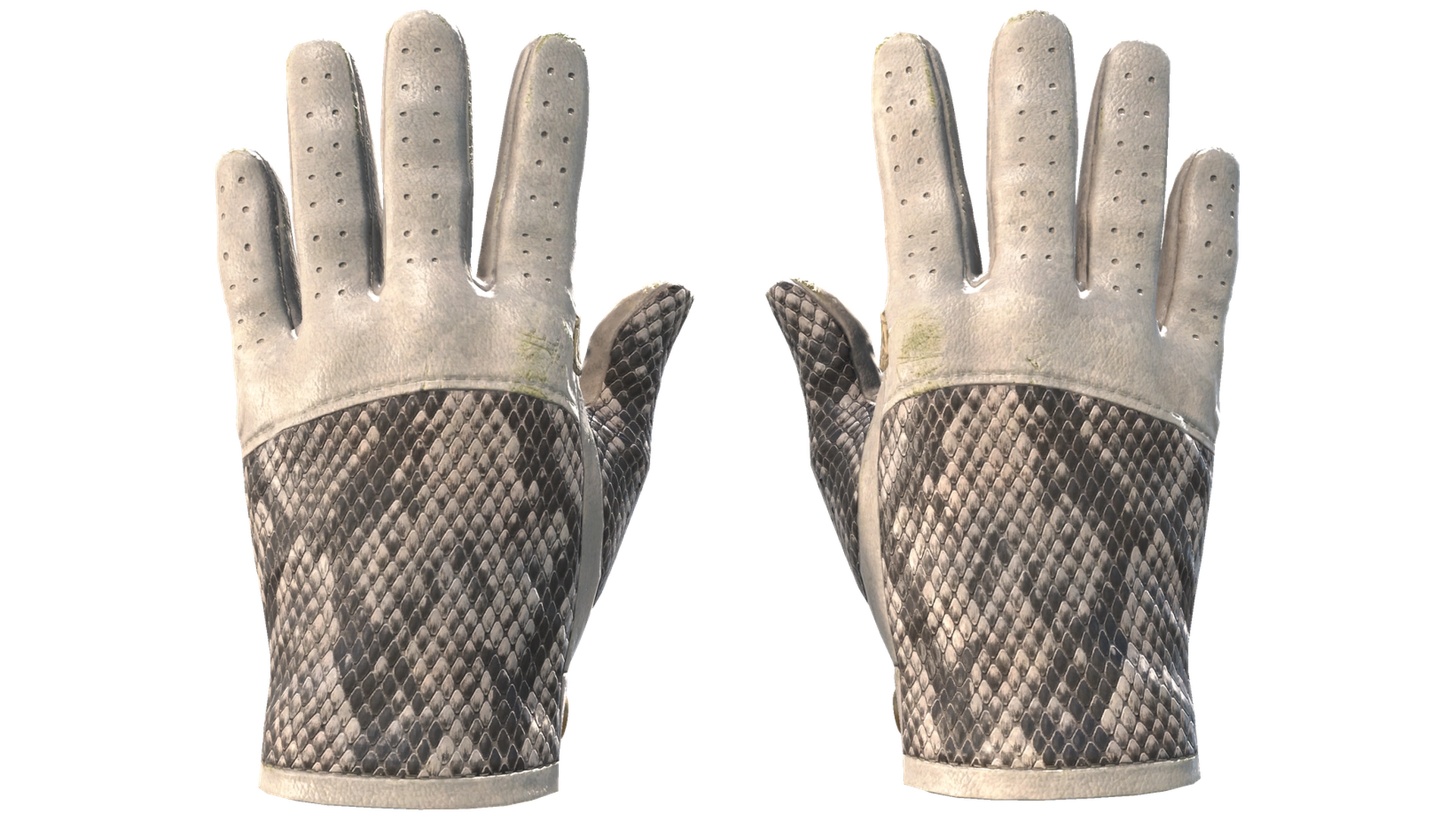 King Snake image