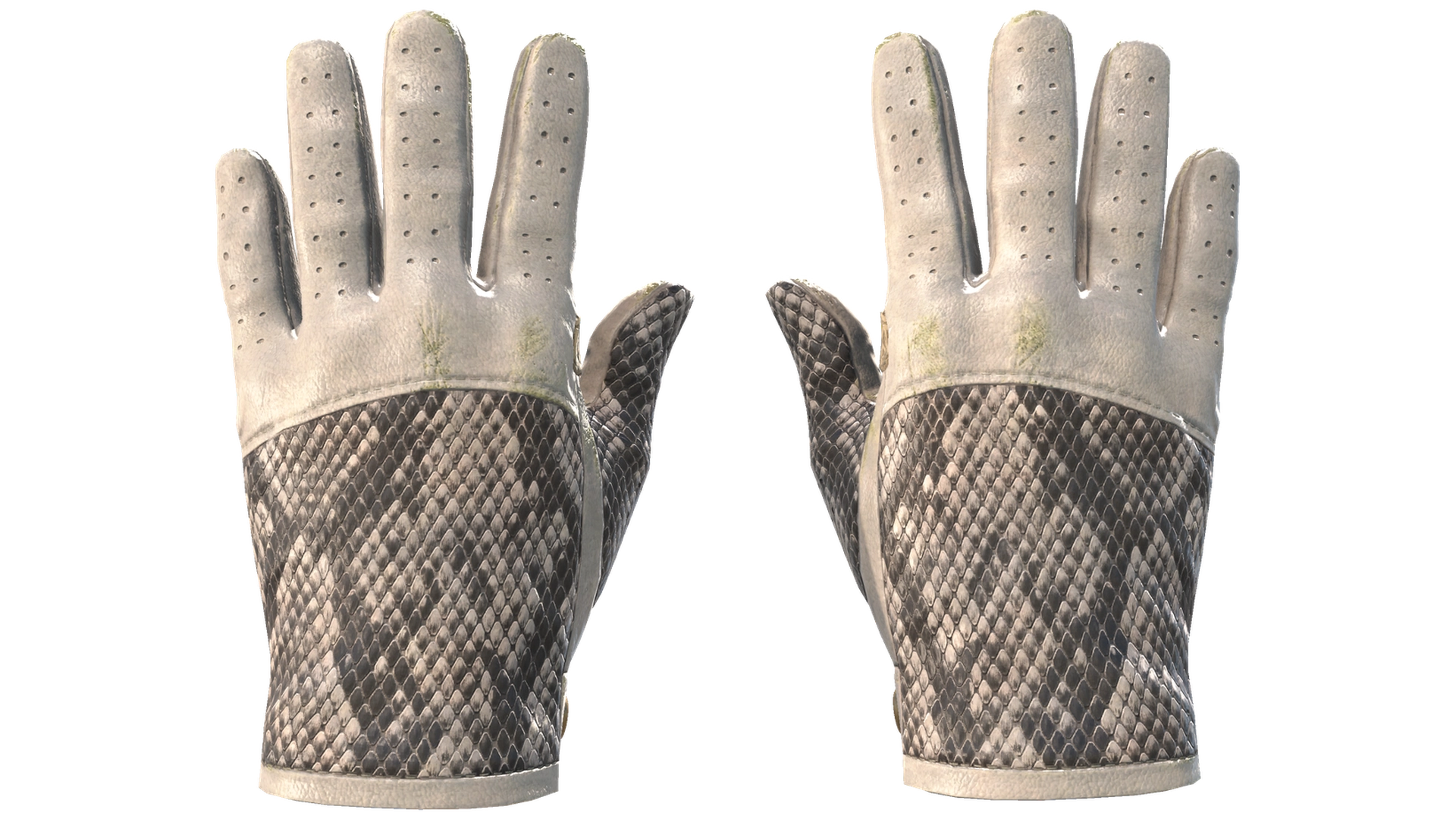 King Snake image