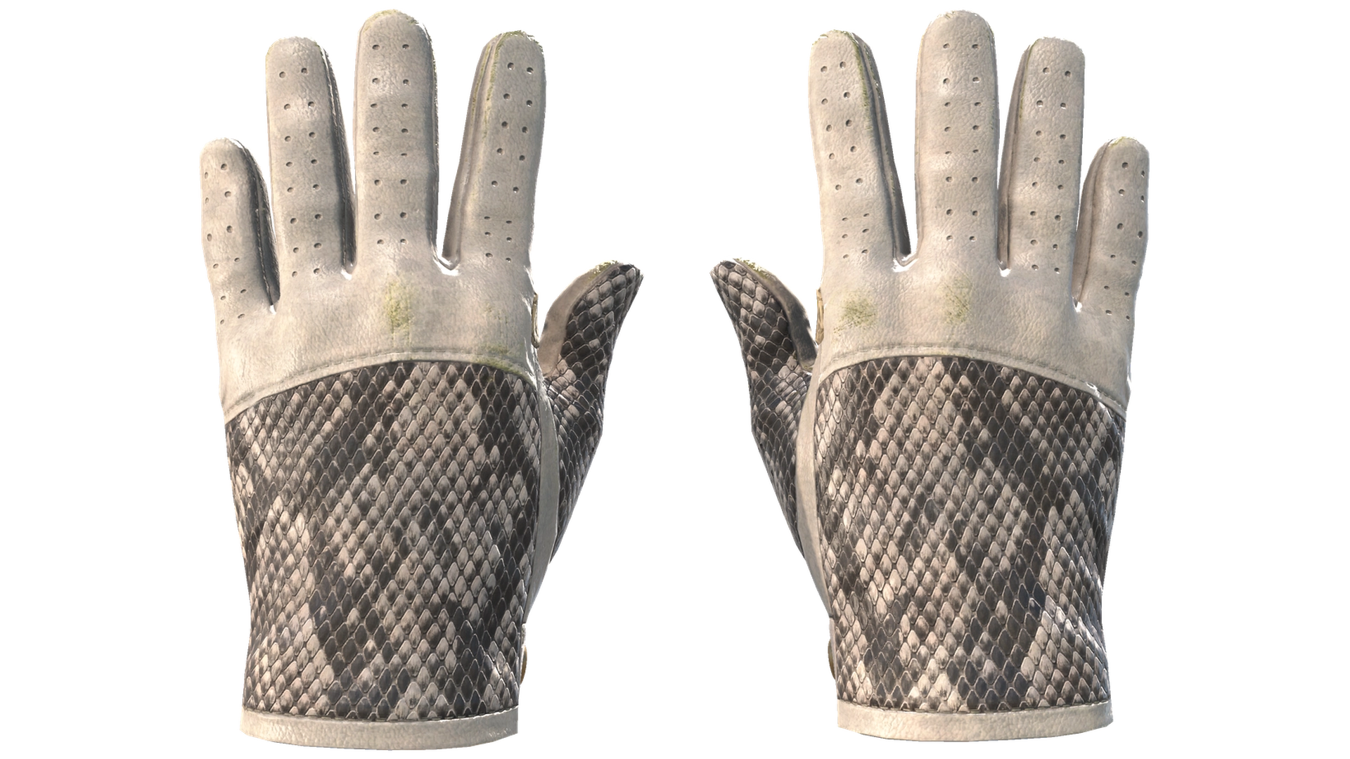 King Snake image