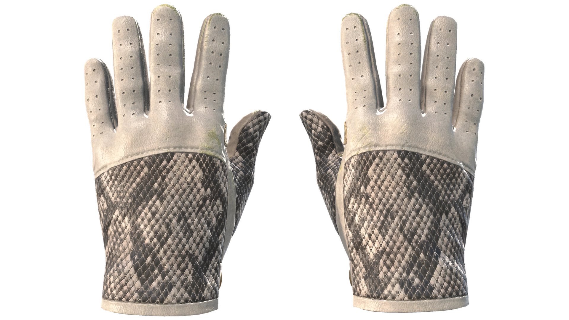 King Snake image