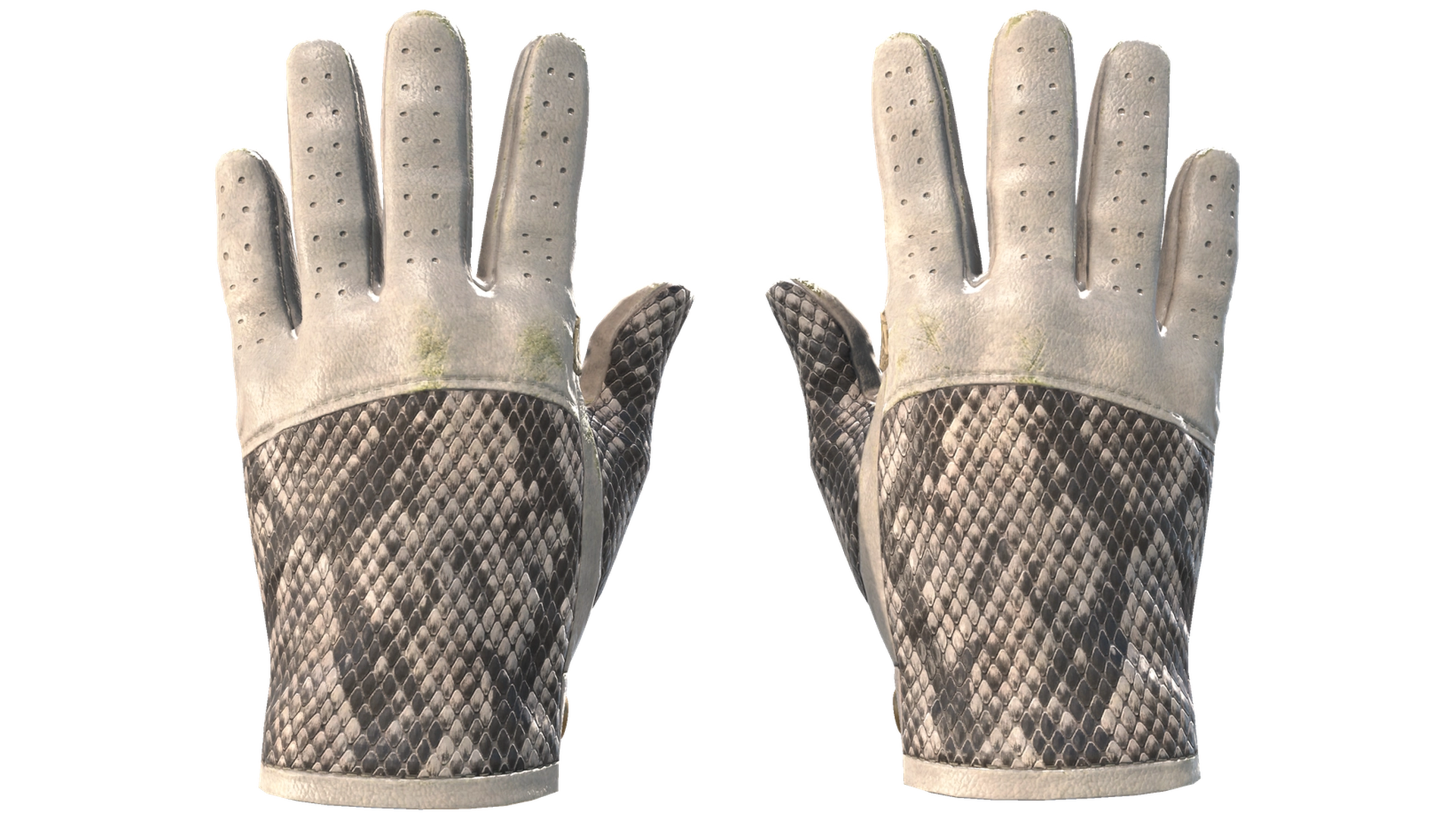 King Snake image
