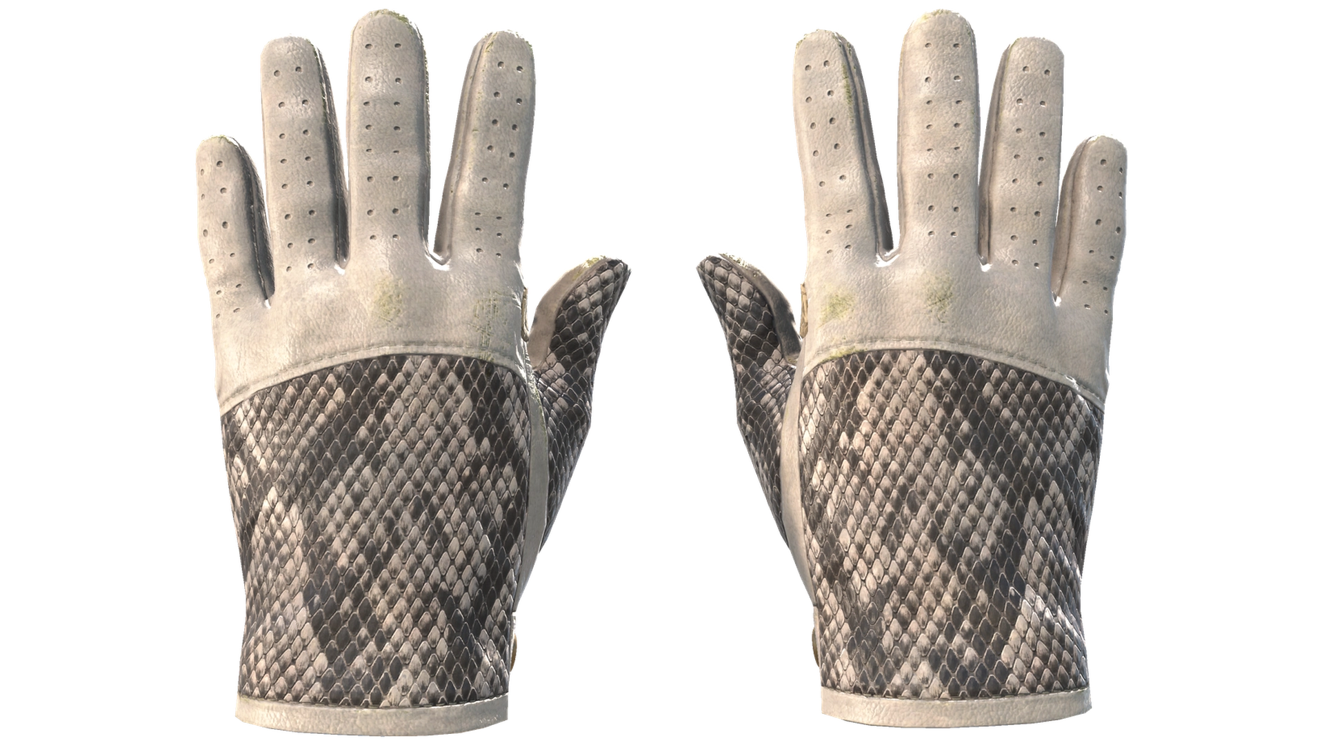 King Snake image