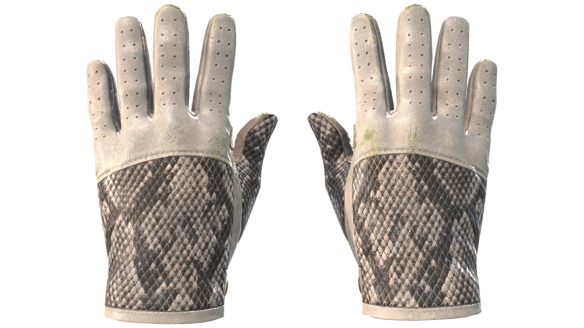 King Snake image