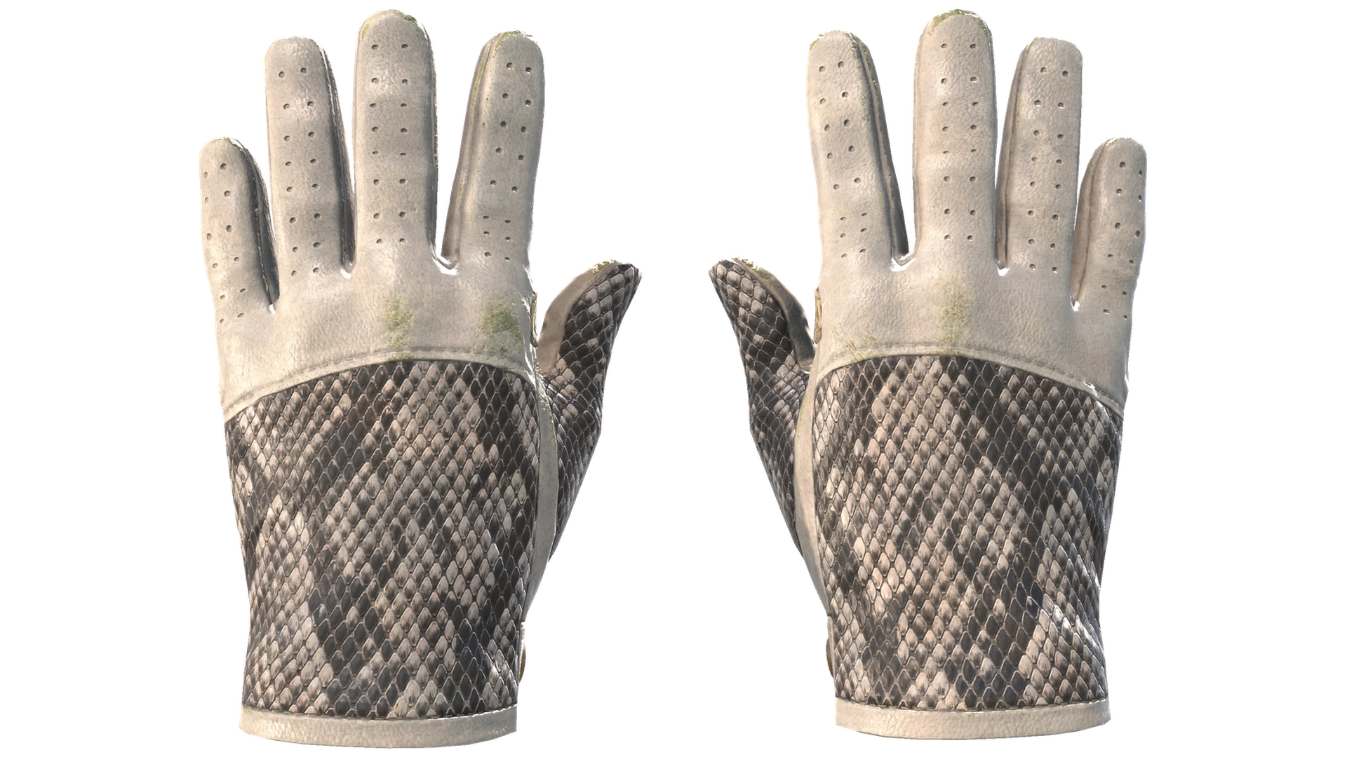 King Snake image