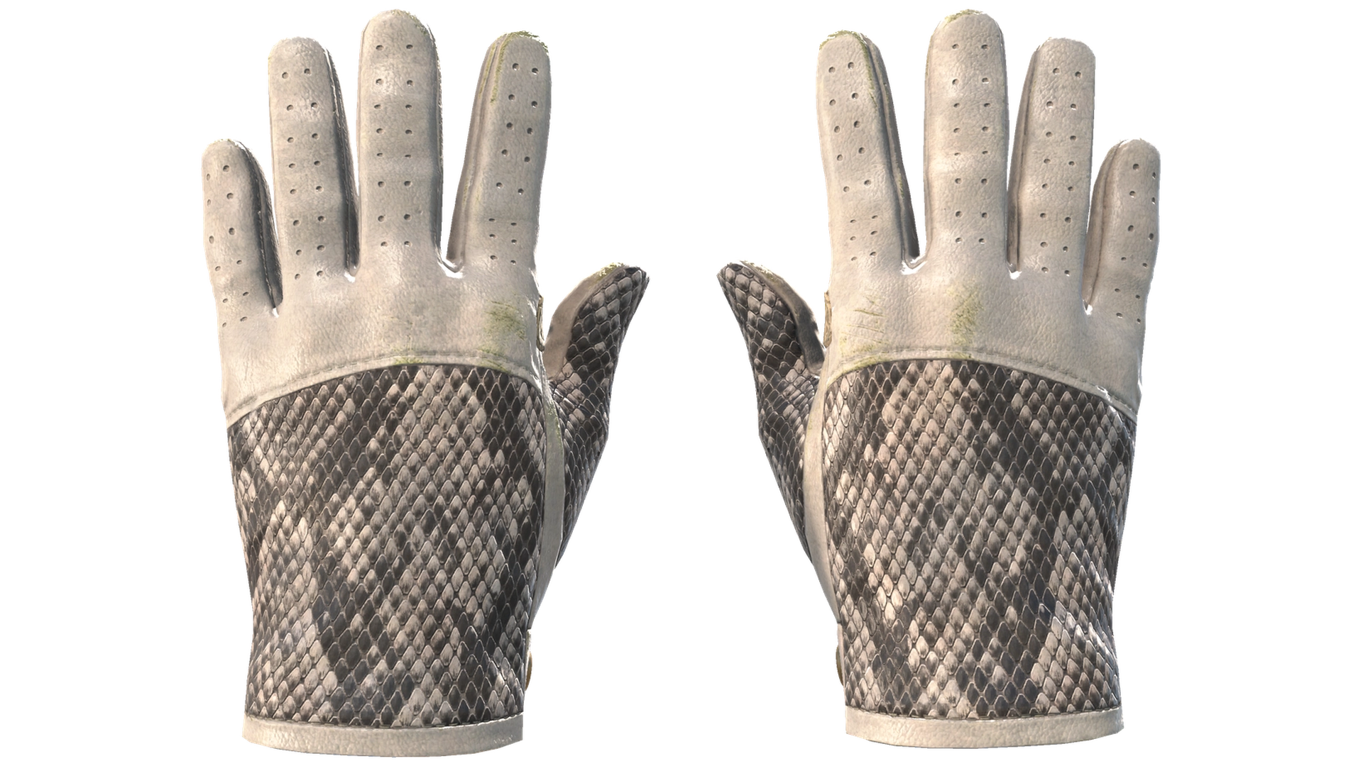 King Snake image