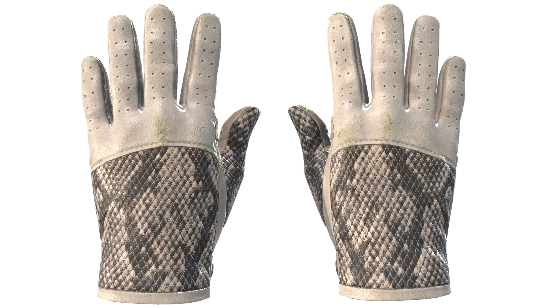 King Snake image