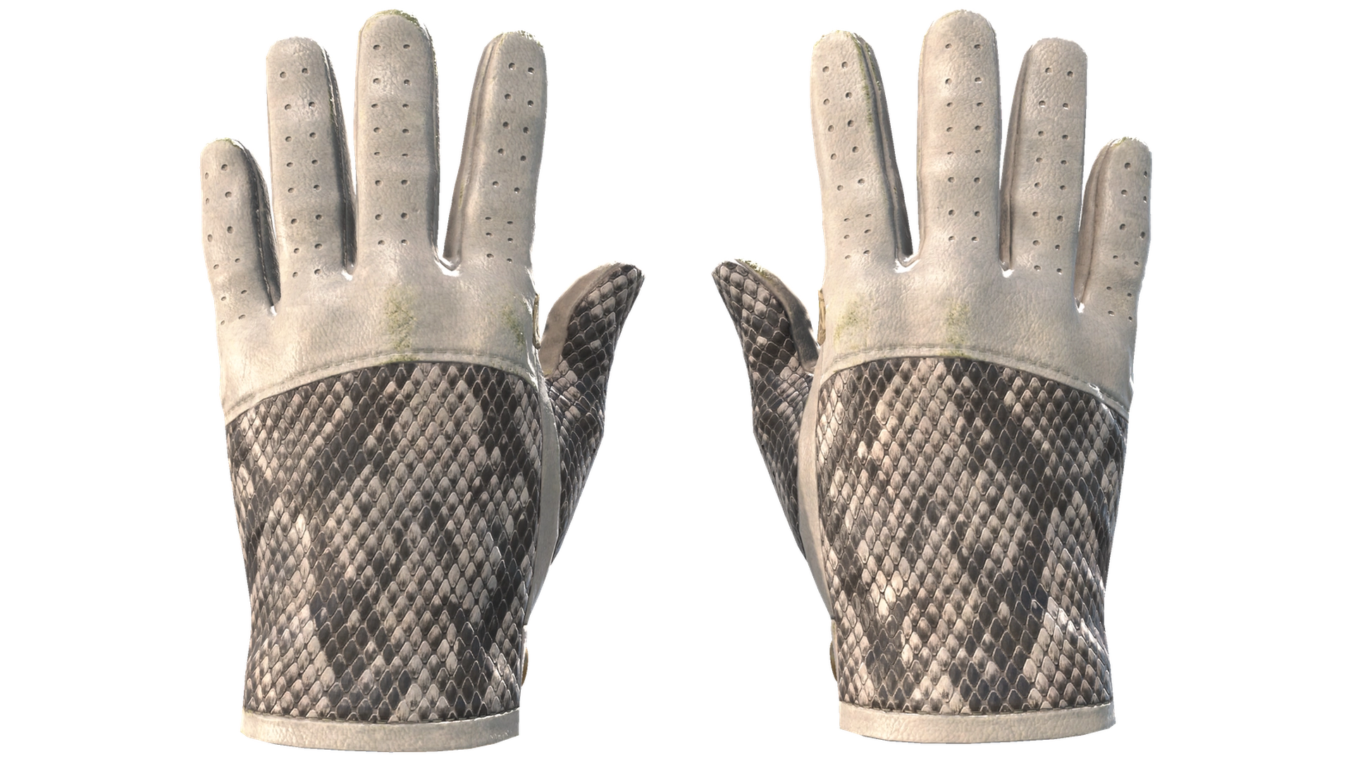 King Snake image