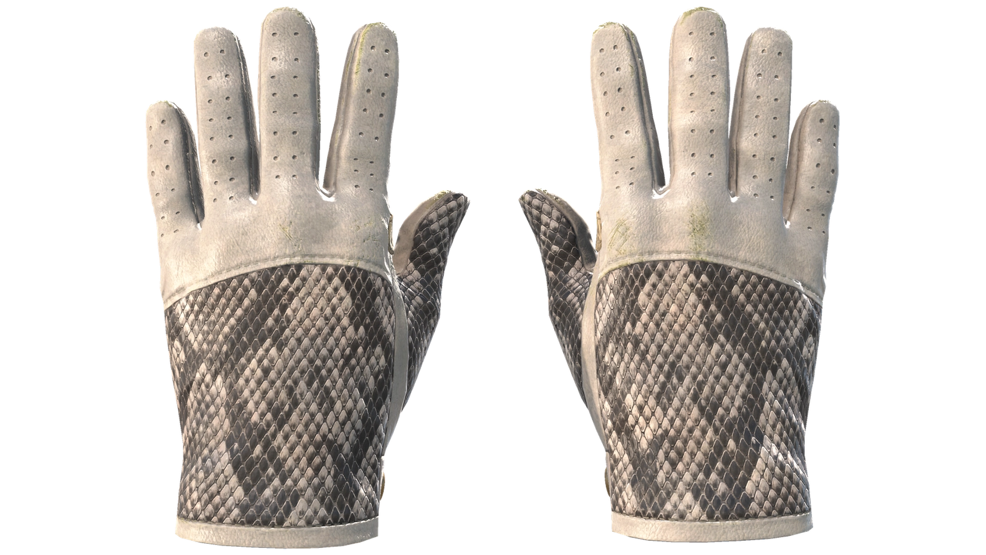 King Snake image