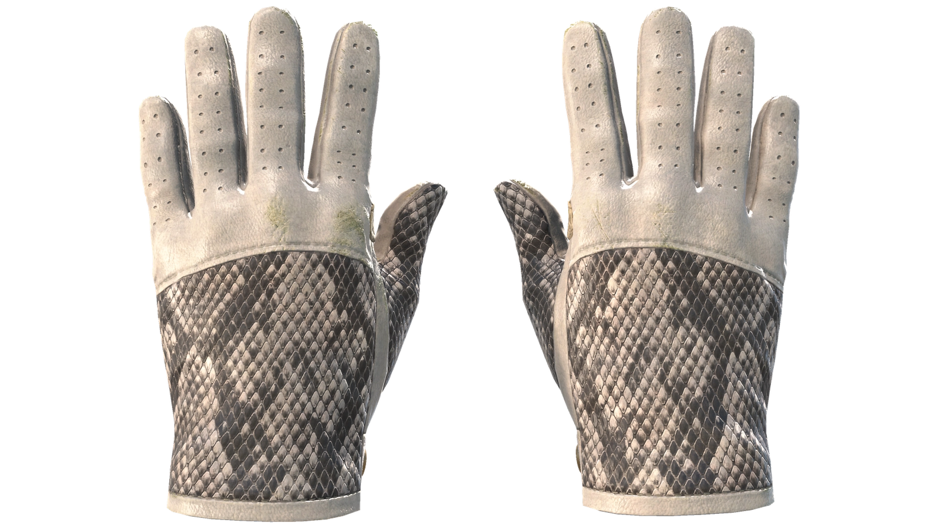 King Snake image