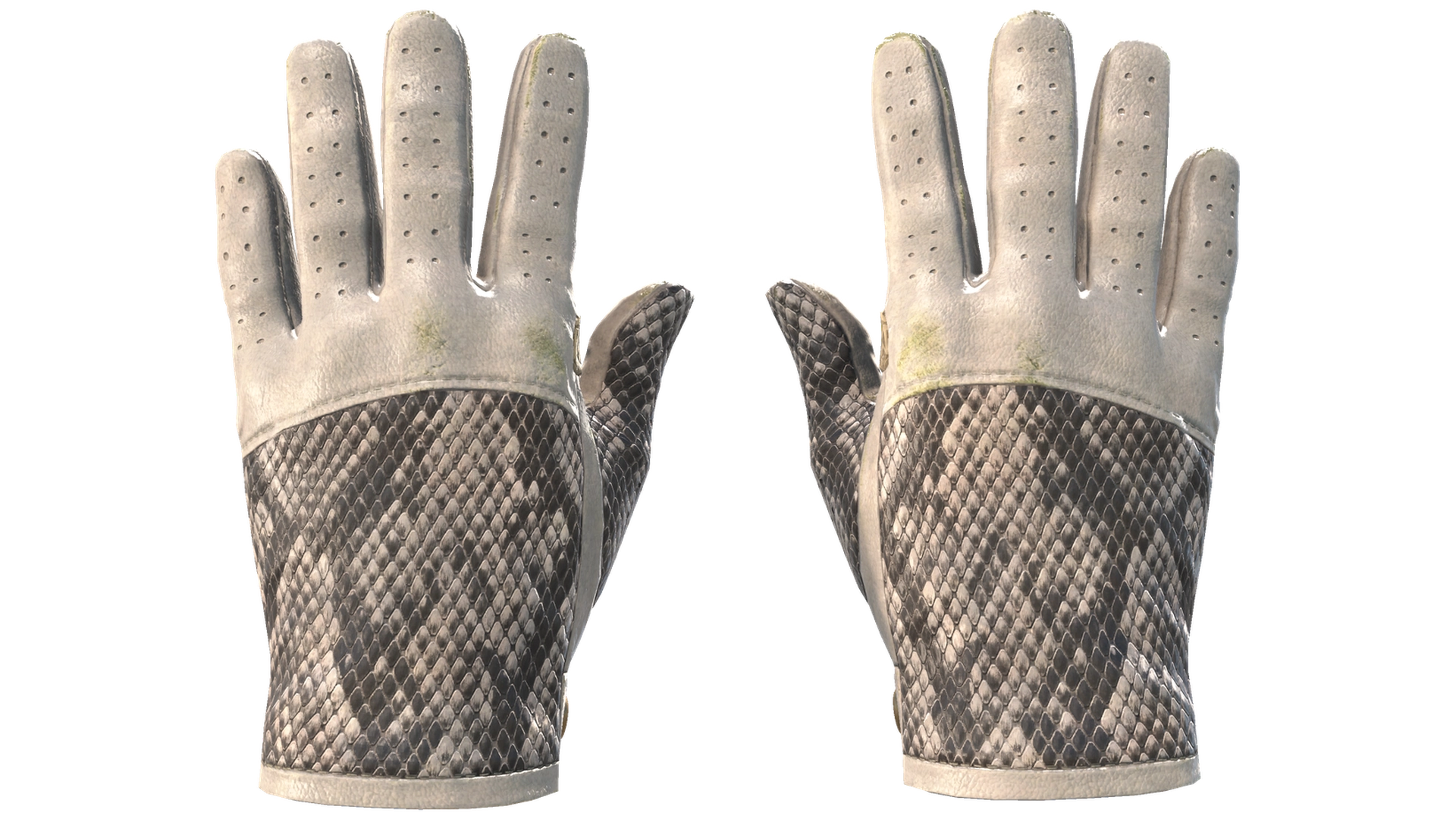 King Snake image