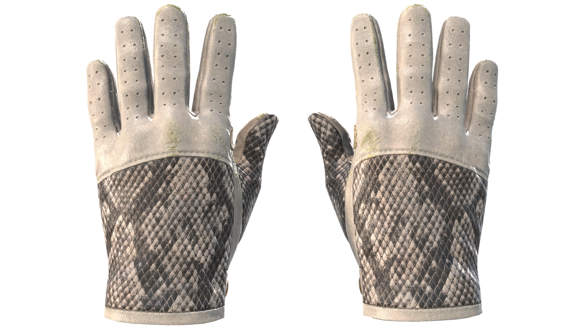 King Snake image