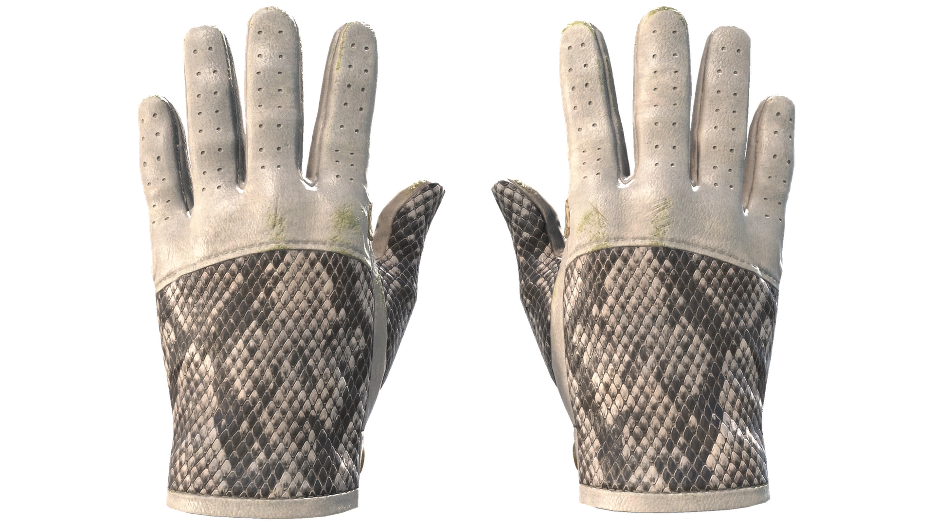 King Snake image