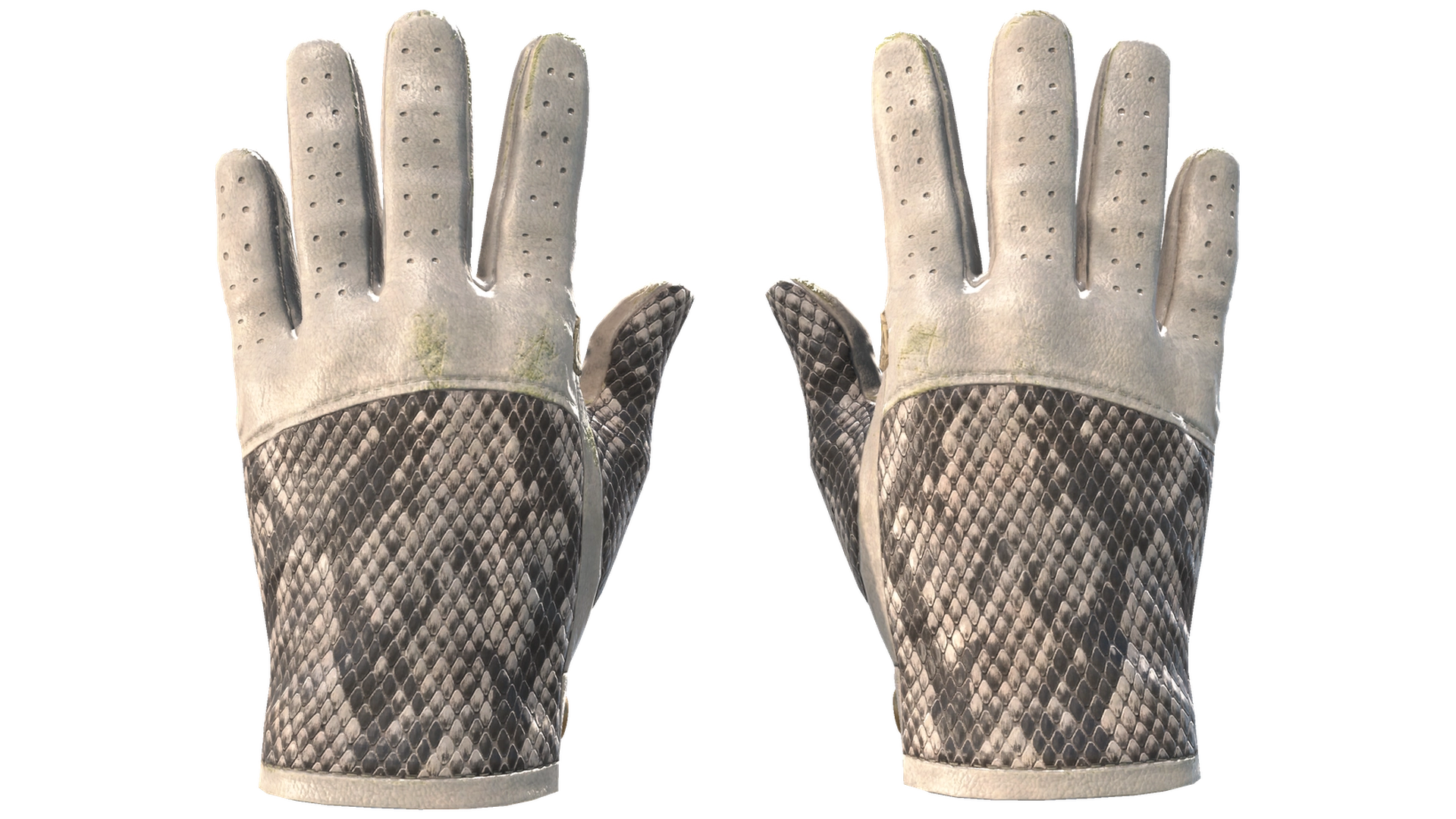 King Snake image