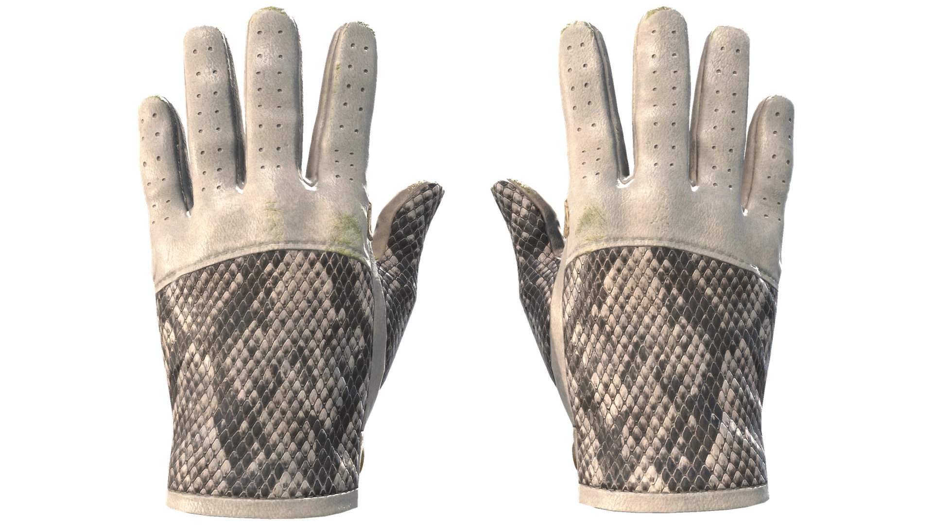 King Snake image