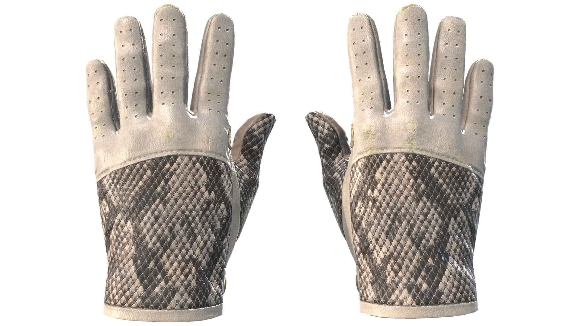 King Snake image