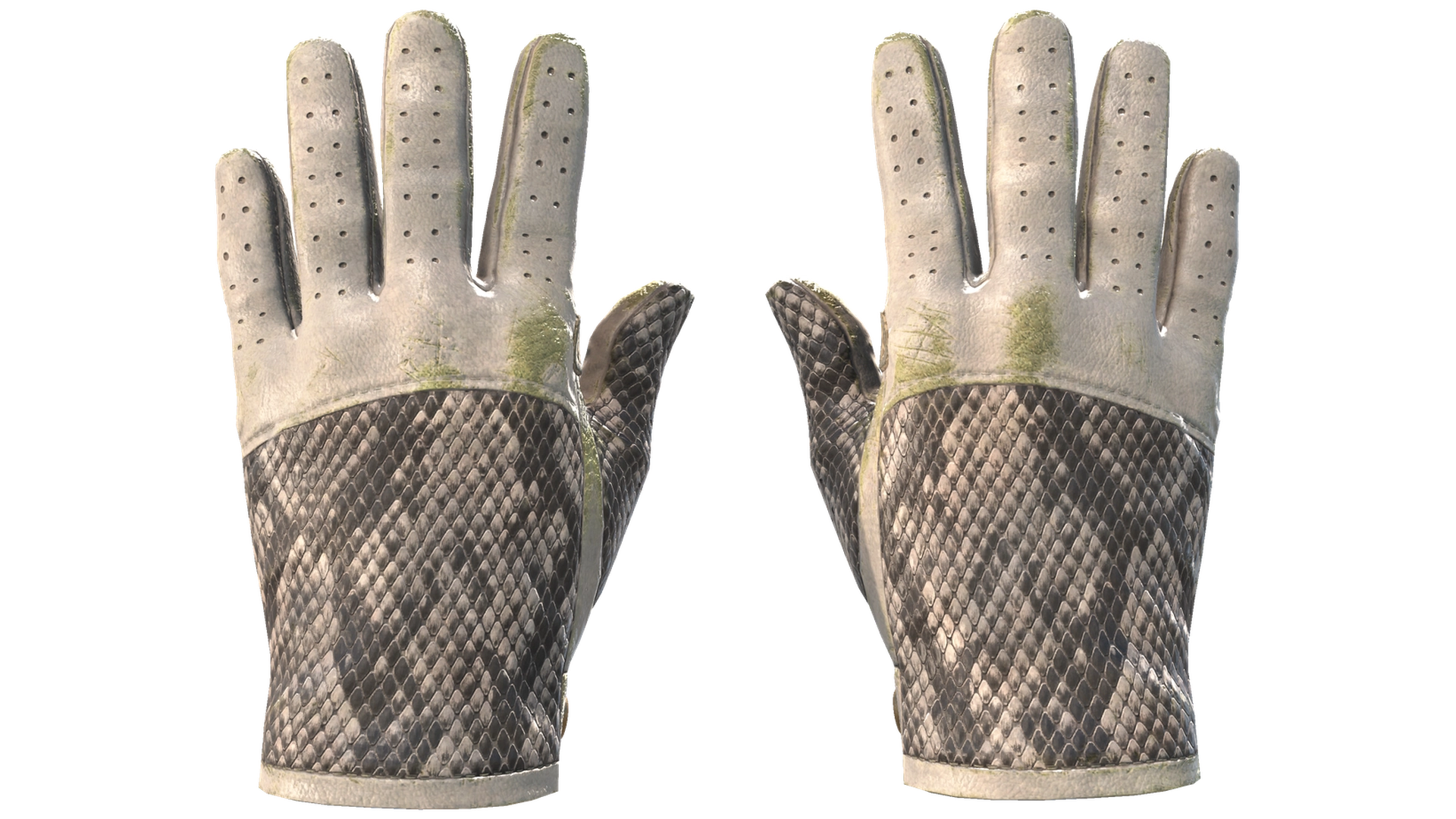 King Snake image