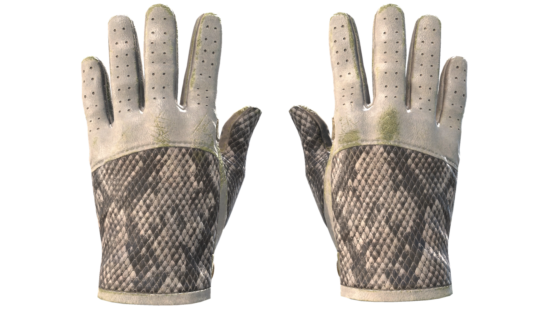 King Snake image