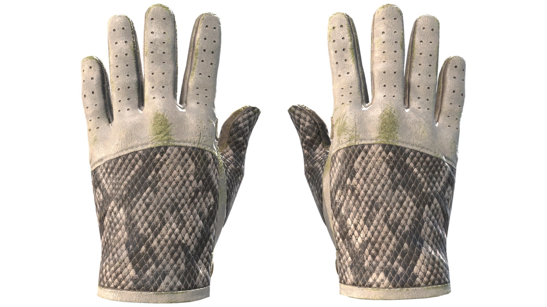 King Snake image